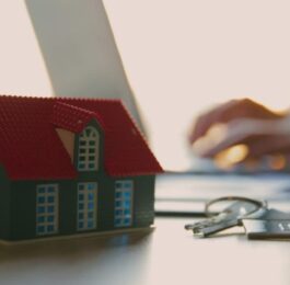 un modello di una casa da provenienza donativa